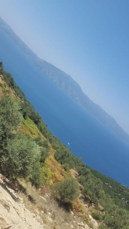 Villa Fredi 奥里库姆 外观 照片