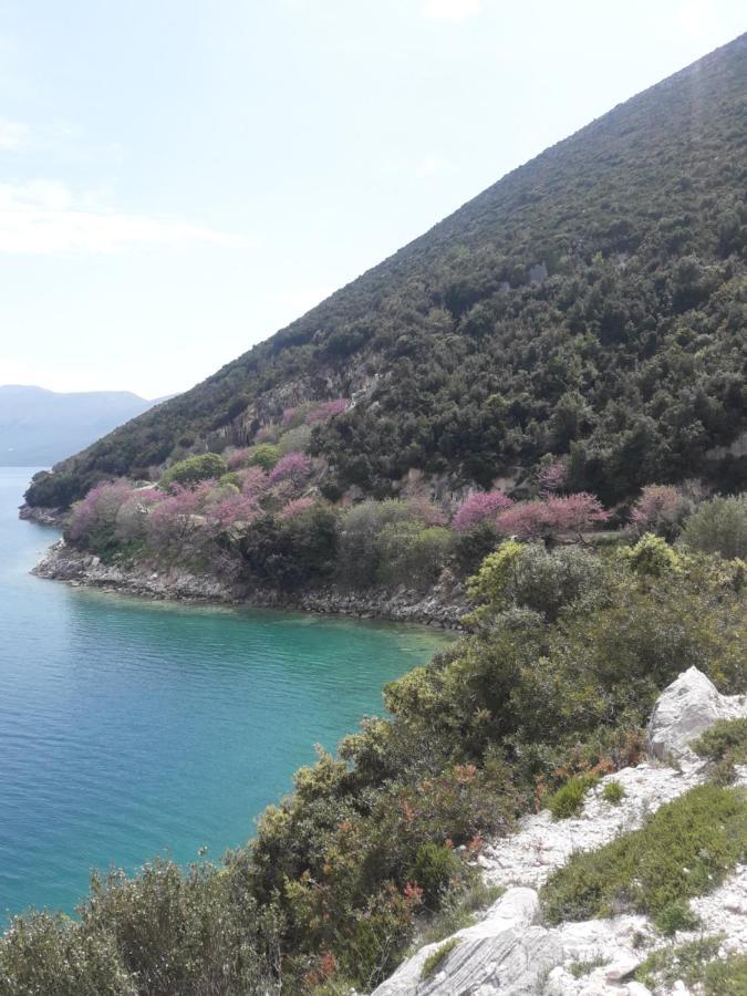 Villa Fredi 奥里库姆 外观 照片
